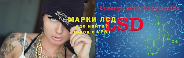 прущие грибы Белокуриха